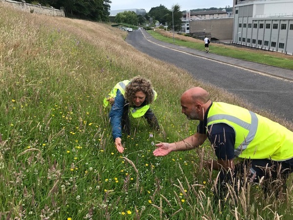Wildflowers at the North Haugh at the University of St Andrews & new Meadows in the Making project staff Stephen Paul, Practical Conservation Worker, & Johanna Willi, Ecological Projects Manager