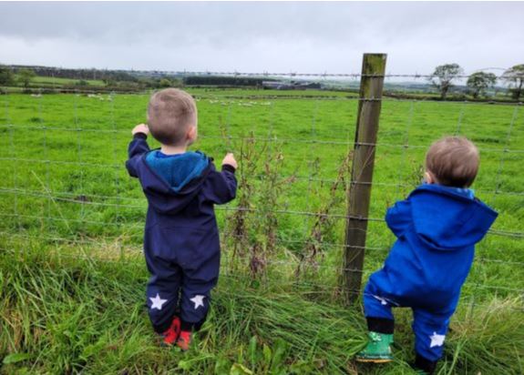 Two toddlers looking out across a field of sheep