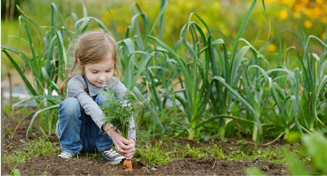 Girl planting vegetables in garden