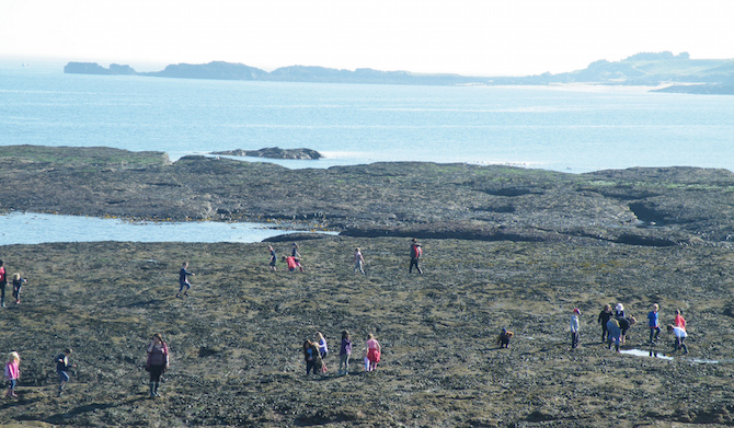 People on shore at North Berwick