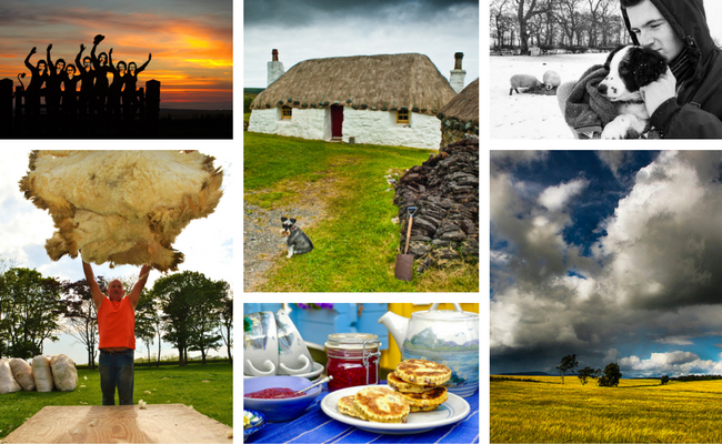 collage of our six photo competition finalists