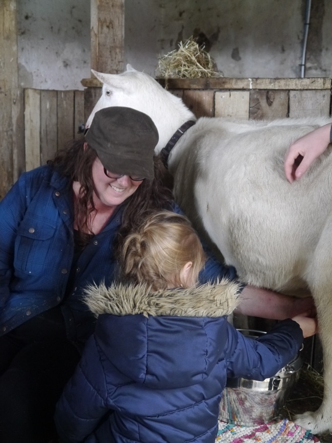 Kat Goldin and vistiro Niamh milking a goat at Gartur Stitch Farm