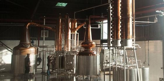 Arbikie Distillery 