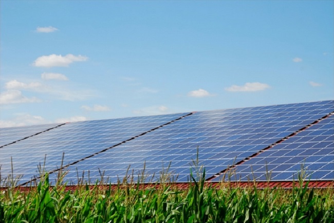 Photo of field with solar panels