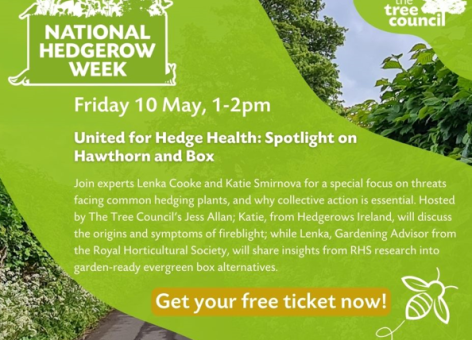 National Hedgerow Week 2024 Celebrate connecting hedgerows, 6 – 12 May