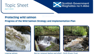 Topic sheet Progress of the Wild Salmon Strategy and Implementation Plan
