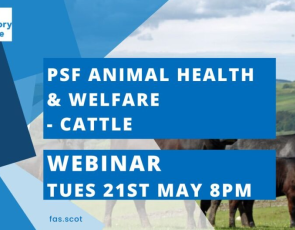 FAS Animal Health & Welfare – Cattle