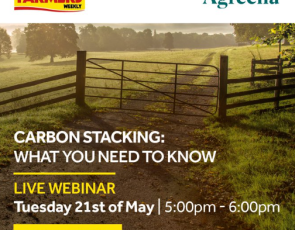  Carbon Stacking: What you need to know - Field Gate 
