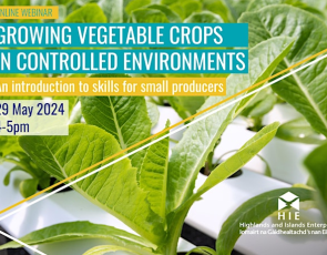 Growing vegetable crops in controlled environments - the skills you need