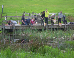 Teenagers with nets pond dipping