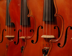 Close up of fiddles