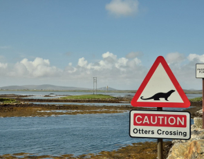 "Passing places" and "caution otters crossing" signs by causeway