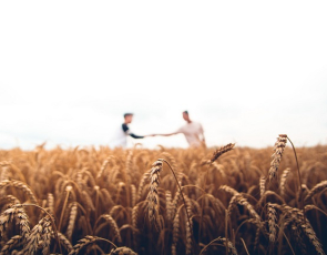 Two people shaking hands in field