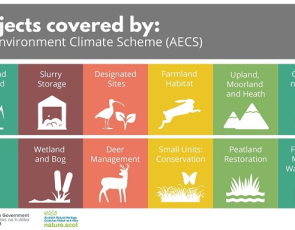 Agri-Environment Climate Scheme inforgaphic