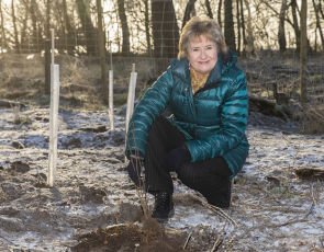 Environment Secretary Roseanna Cunningham planting trees