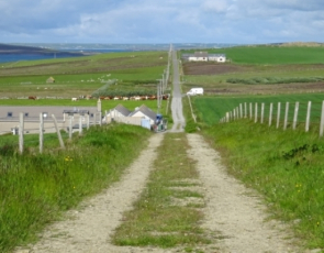 Country tack on Hoxa, Orkney