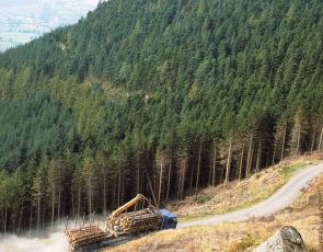 Timber being Hauled off steep hill following harvesting 