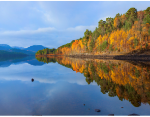 Loch view of Glen Affric lined in autumnal trees