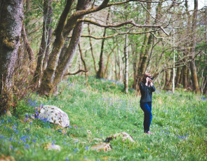 Person taking photo in woods with bluebells