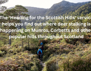 Heading for the Scottish Hills - walker on Beinn Eighe NNR - copyright NatureScot