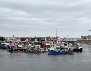 Fishing boats in Scottish Harbour