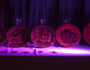 A picture of the rural award trophies