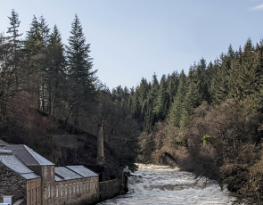 River running through forestry in New Lanark