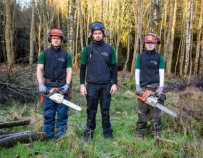 Three men in forest with chainsaws