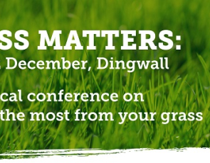 Graphic with with grass and text: Grass Matters