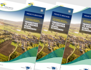 Front cover of Transition to Greener Rural Economies brochure