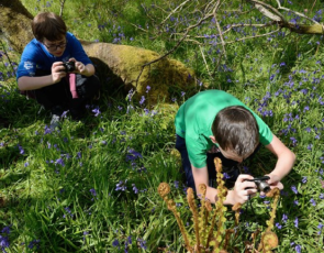 Children learning in a bluebell woodland. 