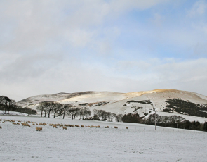 Snowy farm landscape