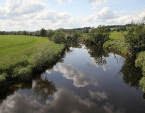 River with trees and field