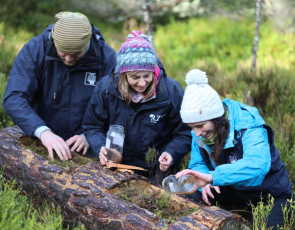 Carl Allott, Dr Helen Taylor, and Kasia Ruta from RZSS release pine hoverfly larvae into specially created habitat