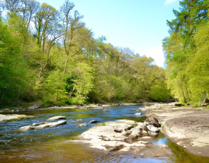 River Ericht and riverbank with trees