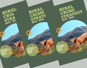 Front cover of SPARC Rural Crime Strategy