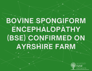 Bovine Spongiform Encephalopathy (BSE) has been confirmed on a farm in Ayrshire.