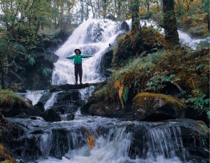 Person with arms outstretched in waterfall in woods