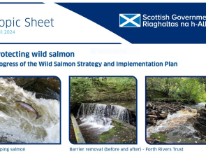 Topic sheet Progress of the Wild Salmon Strategy and Implementation Plan