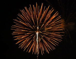 Exploding firework against night sky 