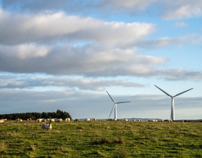 Wind farm (Rural Matters Flickr)