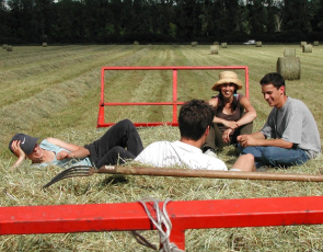 Four young people sitting in a hay field