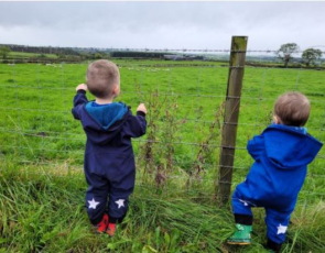 Two toddlers looking out across a field of sheep