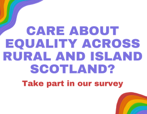 Equality survey poster
