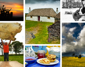 collage of our six photo competition finalists
