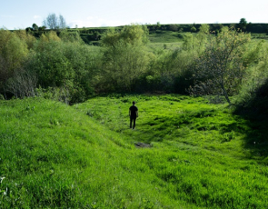 Man standing in a field