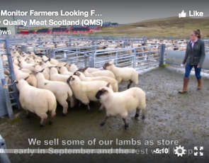 SCreenshot from Shetland Monitor Farm video