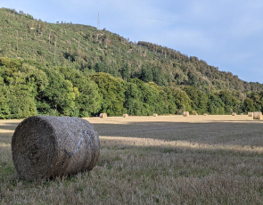 straw cut and baled with forrestry hill in background