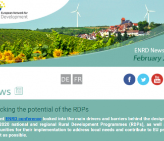 Screenshot of European Network for Rural Development newsletter