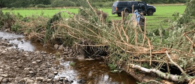 River Margins Enhancement Project